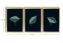 Wallity Cuadro Decorativo Enmarcado MDF de 3 Piezas Azul y Oro